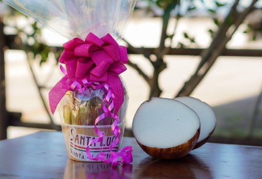 [E-COMM_CUB] Caciopandoro bianco (copia)