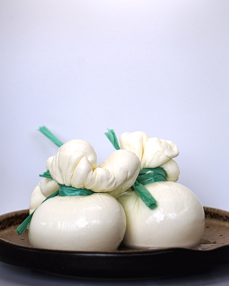 Burrata
