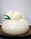 Burrata