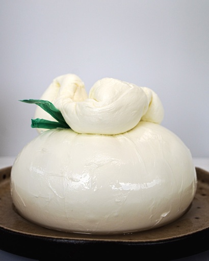 Burrata